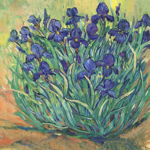 Irises in Bloom I - Wall Art - By Tim OToole- Gallery Art Company