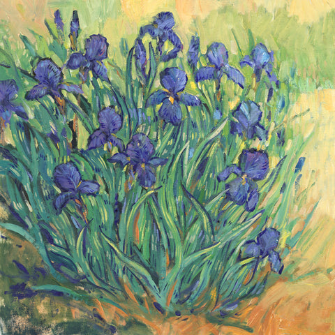 Irises in Bloom II - Wall Art - By Tim OToole- Gallery Art Company