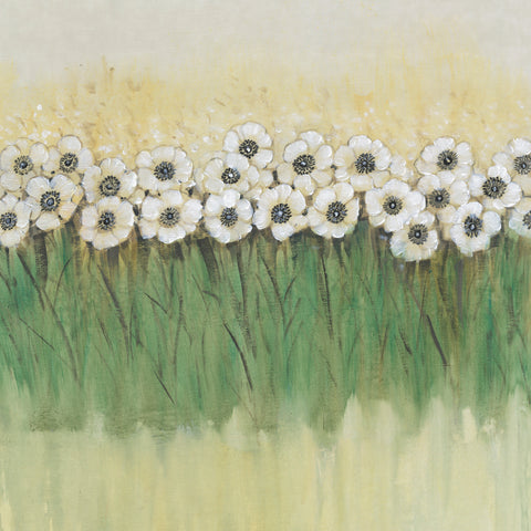 Rows of Flowers II - Wall Art - By Tim OToole- Gallery Art Company