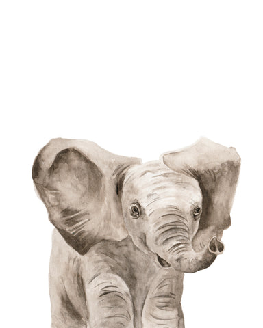 Safari Animal Portraits III - Wall Art - By Melissa Wang- Gallery Art Company