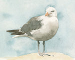 Simple Seagull I - Wall Art - By Emma Caroline- Gallery Art Company