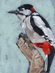 Woodpecker Paintstrokes I - Wall Art - By Jennifer Paxton Parker- Gallery Art Company