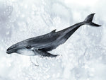 Deep Diver II - Wall Art - By Grace Popp- Gallery Art Company