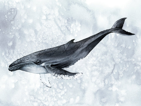 Deep Diver II - Wall Art - By Grace Popp- Gallery Art Company