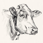 Holstein Portrait Sketch I - Wall Art - By Jennifer Paxton Parker- Gallery Art Company