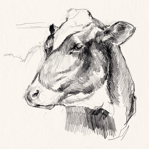Holstein Portrait Sketch II - Wall Art - By Jennifer Paxton Parker- Gallery Art Company
