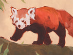 Red Panda II - Wall Art - By Jacob Green- Gallery Art Company