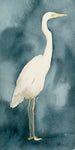 Simple Egret III - Wall Art - By Emma Caroline- Gallery Art Company