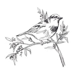 Simple Songbird Sketches I - Wall Art - By June Erica Vess- Gallery Art Company