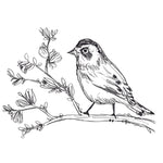 Simple Songbird Sketches II - Wall Art - By June Erica Vess- Gallery Art Company