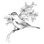 Simple Songbird Sketches III - Wall Art - By June Erica Vess- Gallery Art Company