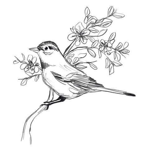 Simple Songbird Sketches III - Wall Art - By June Erica Vess- Gallery Art Company