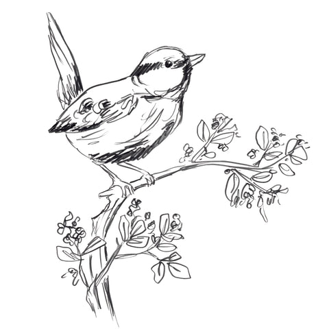 Simple Songbird Sketches IV - Wall Art - By June Erica Vess- Gallery Art Company