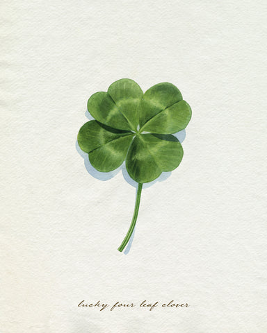 Lucky Charm I - Wall Art - By Grace Popp- Gallery Art Company