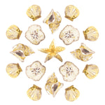Seaside Kaleidoscope IV - Wall Art - By June Erica Vess- Gallery Art Company