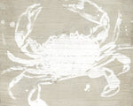 Weathered Crab I - Wall Art - By June Erica Vess- Gallery Art Company