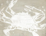 Weathered Crab II - Wall Art - By June Erica Vess- Gallery Art Company