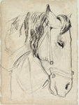 Horse in Bridle Sketch I - Wall Art - By Jennifer Paxton Parker- Gallery Art Company