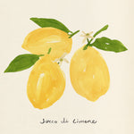 Citrus Trattare I - Wall Art - By Annie Warren- Gallery Art Company