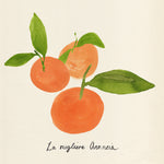 Citrus Trattare II - Wall Art - By Annie Warren- Gallery Art Company