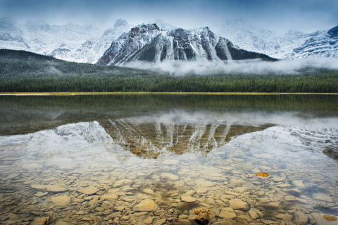 Waterfowl Lake I - Wall Art - By Alan Majchrowicz- Gallery Art Company