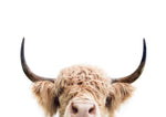 Peeking Cow - Wall Art - By SISI & SEB ART- Gallery Art Company