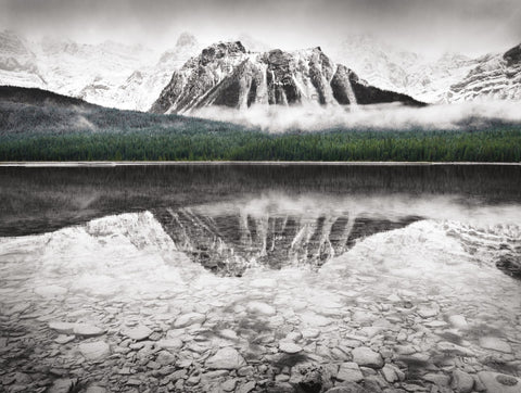Waterfowl Lake I BW with Color Crop - Wall Art - By Alan Majchrowicz- Gallery Art Company