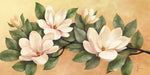 Magnolia - Wall Art - By Fasani- Gallery Art Company