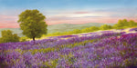 Lavender Field - Wall Art - By Schölnhammer- Gallery Art Company