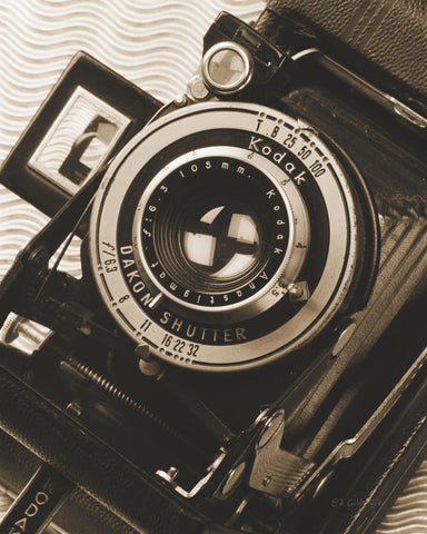 Depth of Field I - Wall Art - By Ed Goldstein- Gallery Art Company