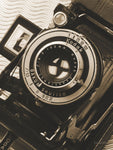 Depth of Field I Crop - Wall Art - By Ed Goldstein- Gallery Art Company