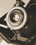 Depth of Field II - Wall Art - By Ed Goldstein- Gallery Art Company
