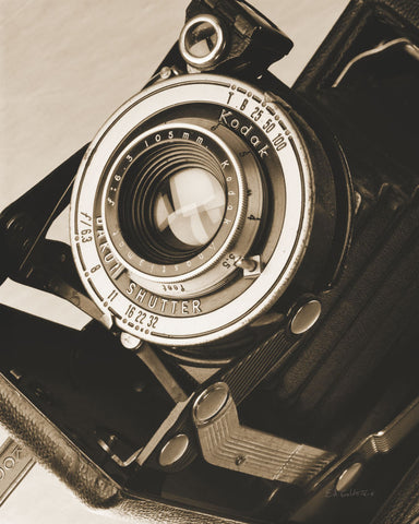 Depth of Field II - Wall Art - By Ed Goldstein- Gallery Art Company