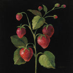 Fraise no Words - Wall Art - By Silvia Vassileva- Gallery Art Company