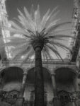 Palermo - Wall Art - By Jim Dratfield- Gallery Art Company