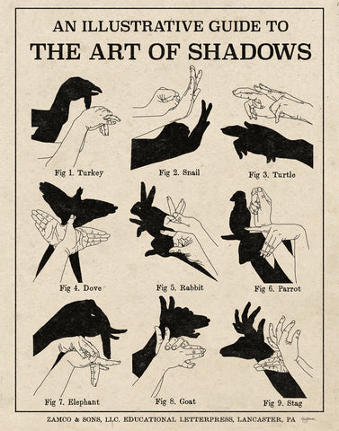 The Art of Shadows X - Wall Art - By Mary Urban- Gallery Art Company