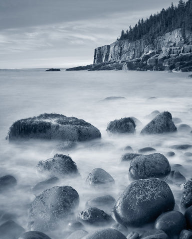 Acadia Coast Crop - Wall Art - By Alan Majchrowicz- Gallery Art Company