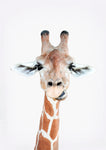 Hey Giraffe - Wall Art - By SISI & SEB ART- Gallery Art Company