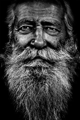 Mr. Nicholas... - Wall Art - By Antonio Grambone- Gallery Art Company