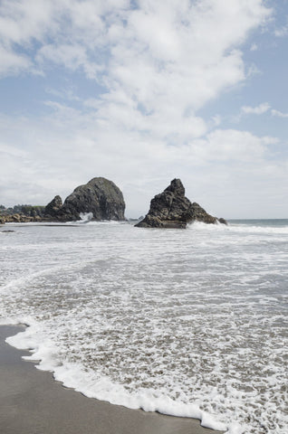 Harris Beach Oregon - Wall Art - By Alan Majchrowicz- Gallery Art Company