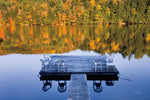Amherst Lake - Wall Art - By Alan Majchrowicz- Gallery Art Company