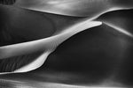 Curvatures - Wall Art - By Rami Al Adwan- Gallery Art Company