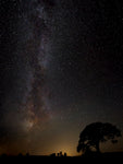 Milkyway - Wall Art - By Kaspars Kurcens- Gallery Art Company