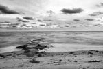 Ocean View II Crop - Wall Art - By Aledanda- Gallery Art Company