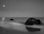 Moonlit I - Wall Art - By Aledanda- Gallery Art Company