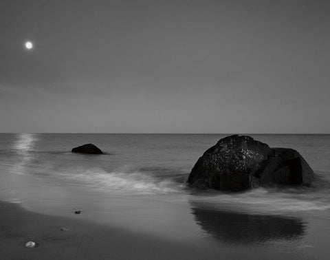 Moonlit I - Wall Art - By Aledanda- Gallery Art Company