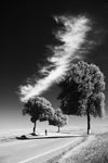 Long White Cloud - Wall Art - By Padurariu Alexandru- Gallery Art Company