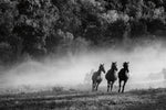 Horse Country Crop - Wall Art - By Aledanda- Gallery Art Company