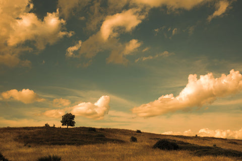 What Beautiful Clouds - Wall Art - By Aledanda- Gallery Art Company