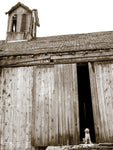Barnyard Dog - Wall Art - By Jim Dratfield- Gallery Art Company